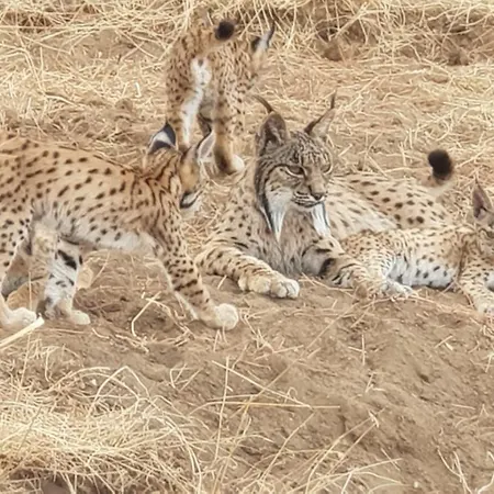 Hacienda Olontigi Hétvégi ház *