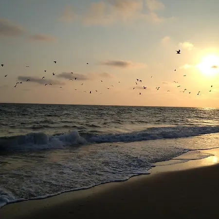 Hacienda Olontigi Aznalcázar
